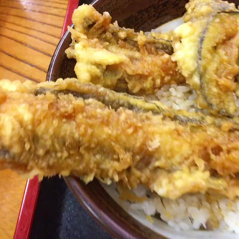 鮫洲『さめず 鈴乃家』（すずのや） | 日刊『水と蕎麦 研究図鑑』