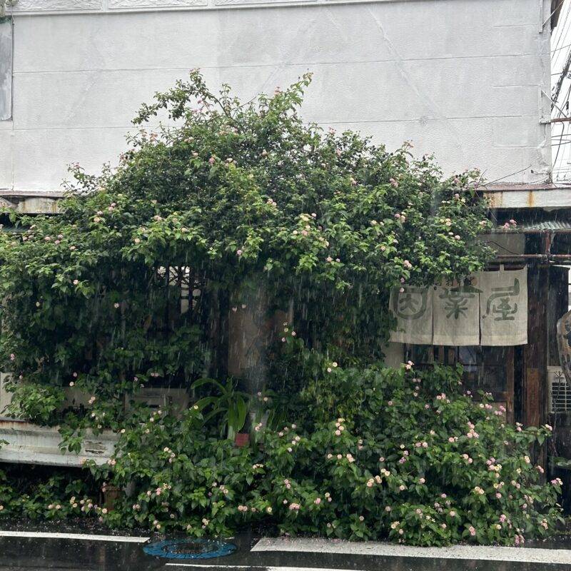 埼玉県川口『手打そば 因業屋』（いんごうや）そば 蕎麦 蕎麦屋 そば屋 おすすめ soba 日刊水と蕎麦 soba-aqua メニュー