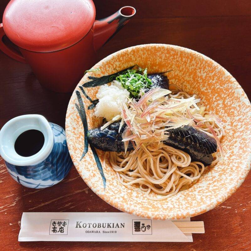 神奈川県小田原『寿庵』（ことぶきあん）そば 蕎麦 蕎麦屋 そば屋 おすすめ soba 日刊水と蕎麦 soba-aqua メニュー「神奈川麺組合推薦 薬膳そば」