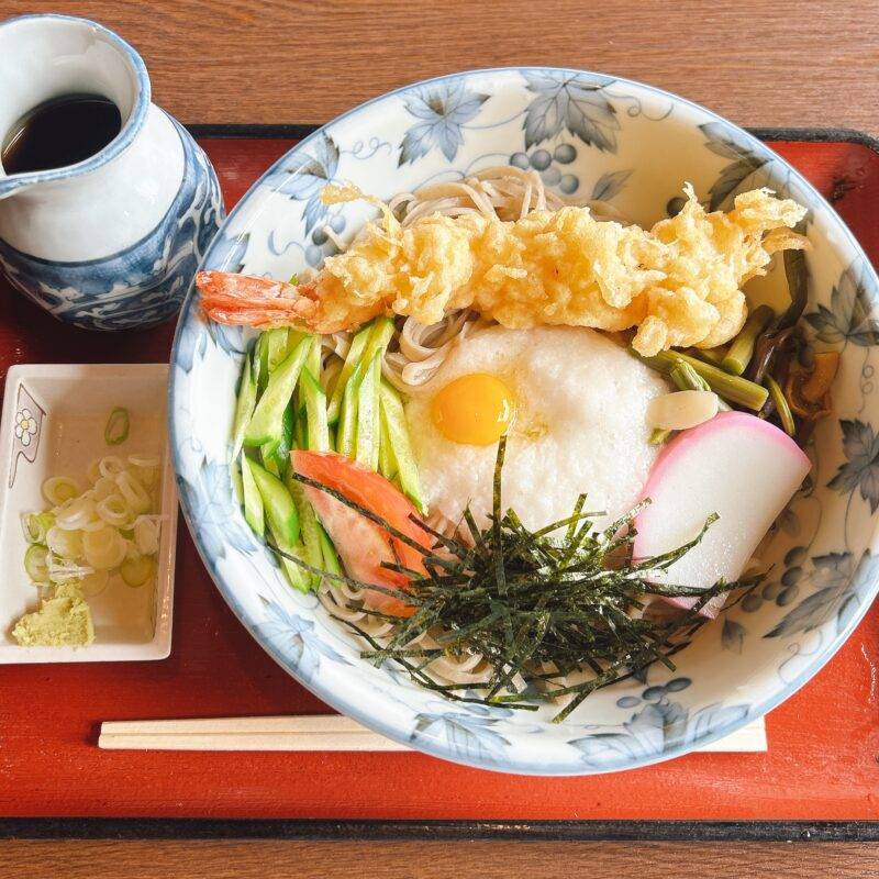 群馬県渋川『手打そば・うどん けむりや』そば 蕎麦 蕎麦屋 そば屋 おすすめ soba 日刊水と蕎麦 soba-aqua メニュー「天とろろそば」