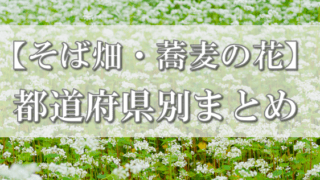 そば 蕎麦 蕎麦屋 そば屋 おすすめ soba 日刊水と蕎麦 soba-aqua そば畑 蕎麦の花　　　 都道府県別