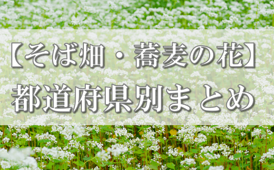 そば 蕎麦 蕎麦屋 そば屋 おすすめ soba 日刊水と蕎麦 soba-aqua そば畑 蕎麦の花　　　 都道府県別