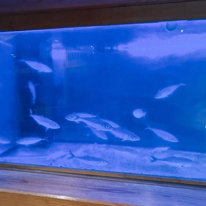 そば 蕎麦 蕎麦屋 そば屋 おすすめ soba 日刊水と蕎麦 soba-aqua メニュー東京都白山『江戸蕎麦匠庄之助 肴町長寿庵』「車えび天せいろ 沖縄九州」