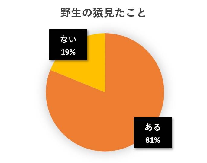 水と蕎麦アンケート円グラフ