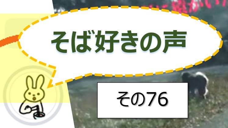 そば好きの声・水と蕎麦