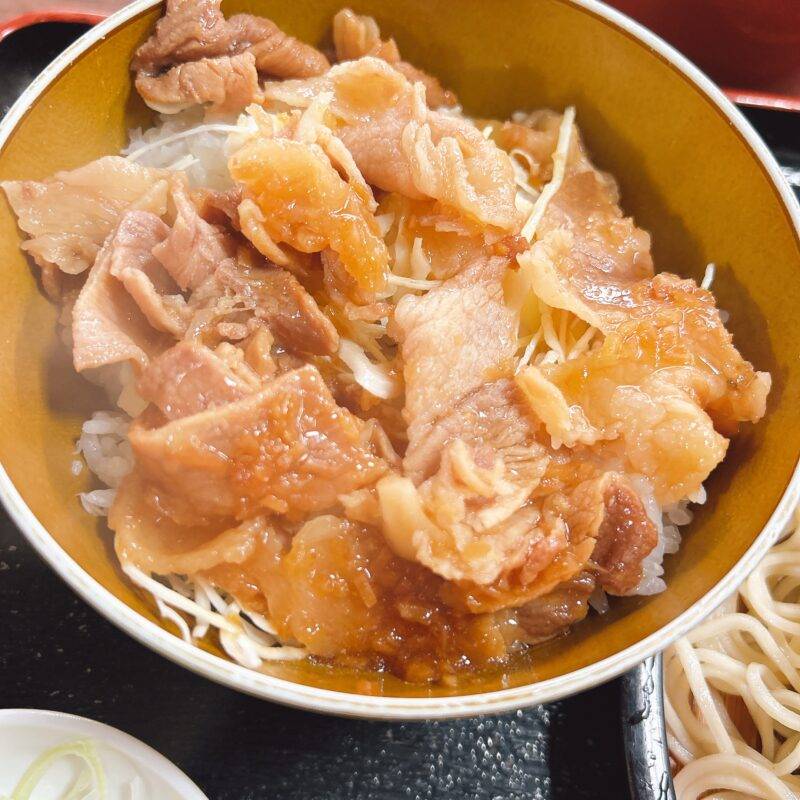 そば 蕎麦 蕎麦屋 そば屋 おすすめ soba 日刊水と蕎麦 soba-aqua メニュー東京都白山『斉藤庵』「ざるセット ミニしょうが焼き丼」