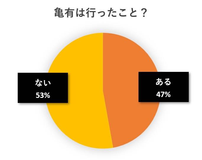 水と蕎麦アンケート円グラフ
