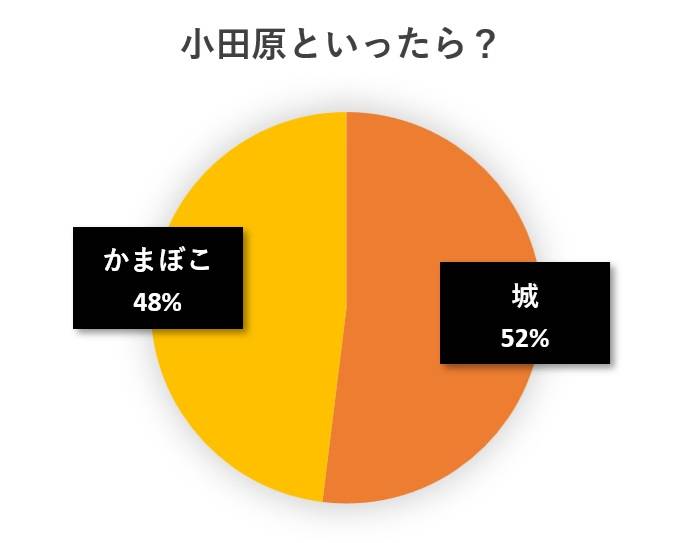 水と蕎麦アンケート円グラフ