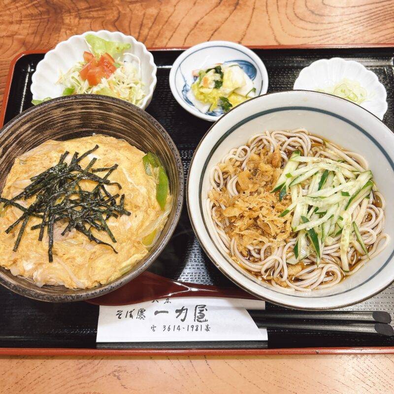 そば 蕎麦 蕎麦屋 そば屋 おすすめ soba 日刊水と蕎麦 soba-aqua メニュー 東京都曳舟『そば処 一力屋』「日替りランチ 親子丼 冷たぬき」