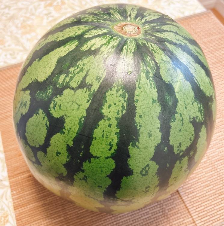 まるっと西瓜